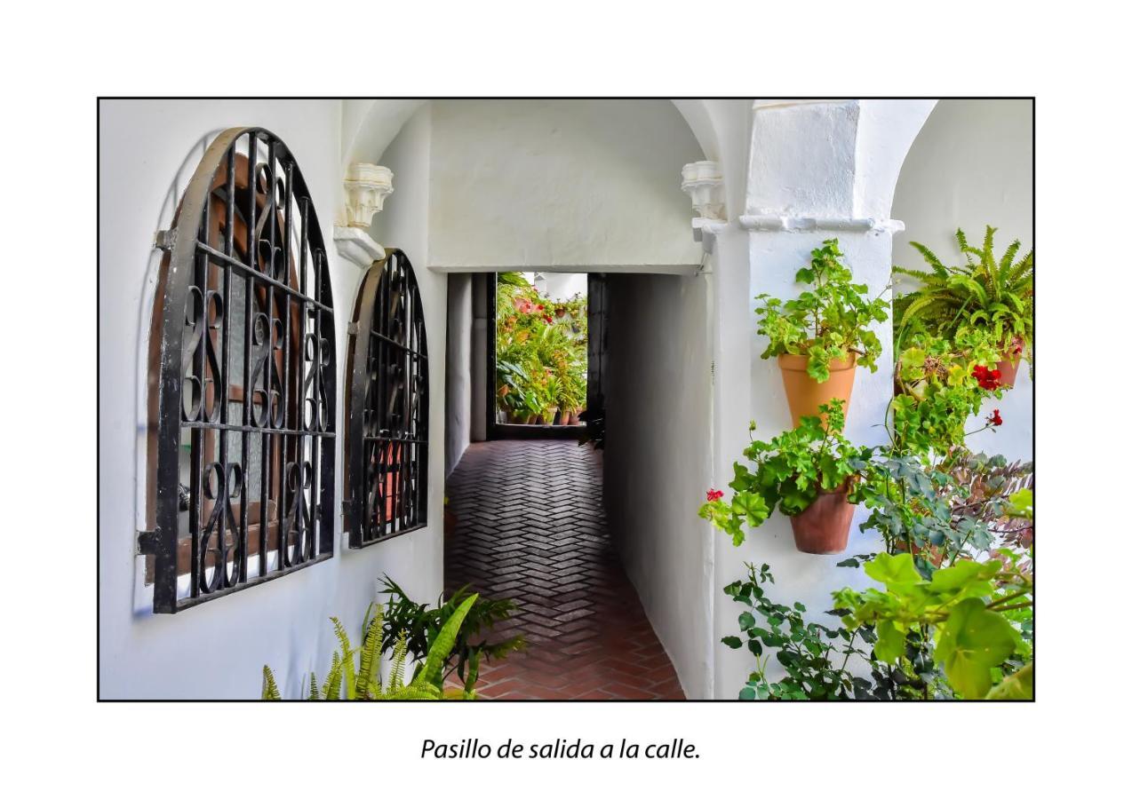 Casa Del Mayorazgo Con Plaza De Parking Privada 贝赫尔-德拉弗龙特拉 外观 照片